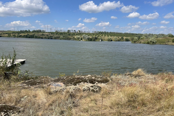 Продаж горіхового саду в Кіровоградській області